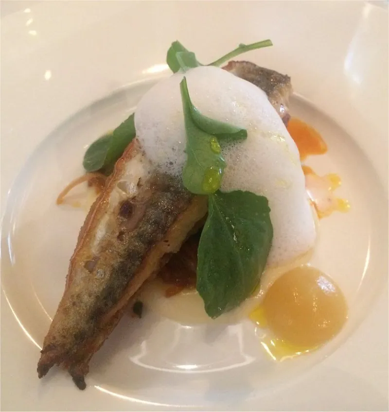Timing Is Everything: How to Plan a Year-Round Omakase Calendar in New York City